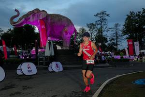 BIB: 
                            <button type="button" onclick="openModal(26529644)" class="btn btn-primary btn-sm float-right btn-popup" data-toggle="modal" data-target=".modal-high-quality">
                        <i class="fas fa-shopping-cart"></i> Add to Cart
                    </button>
                                            <button type="button" onclick="isThisMe(26529644, true)" class="btn btn-success btn-sm float-right btn-popup btn-isme hidden" data-toggle="tooltip" data-placement="bottom" title="นี่คือรูปของคุณใช่ไหม คลิกที่นี่เพื่อเอาเข้าอัลบั้ม">
                        <i class="fas fa-plus"></i> Add to album
                    </button>
                    <button type="button" onclick="isThisMe(26529644, false)" class="btn btn-warning btn-sm float-right btn-popup btn-isnotme hidden">
                        <i class="fas fa-ban"></i> Remove from album
                    </button>